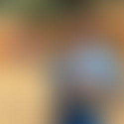 マリポサ八月の陣