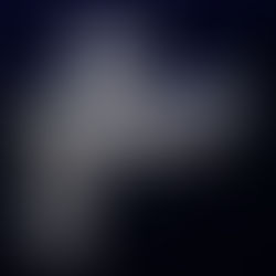 R226をBK-20に装着