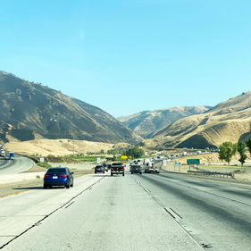 パイルーで世界記録