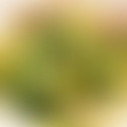 ボコボコにされた😅