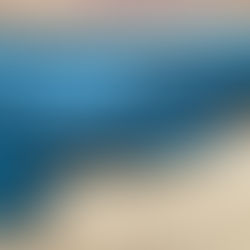 スターンのストック