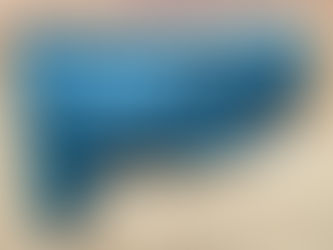 スターンのストック