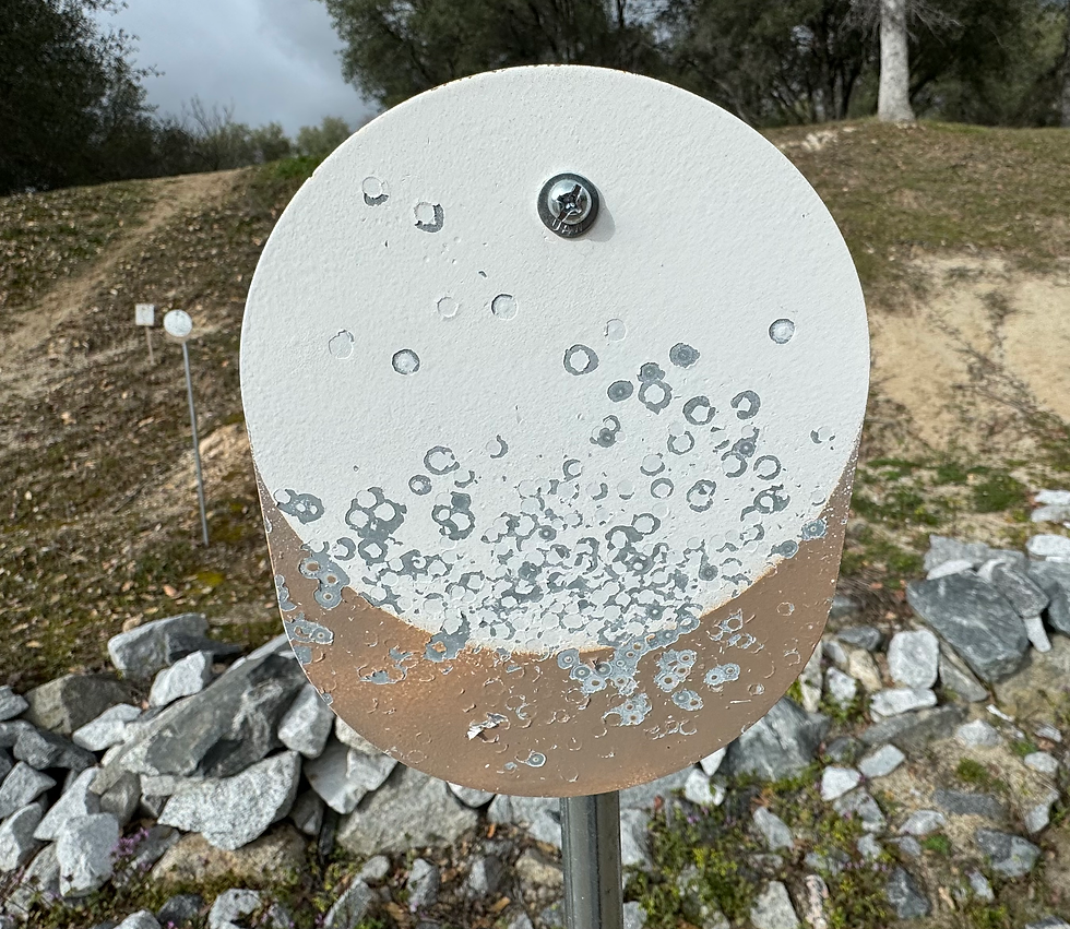 ree