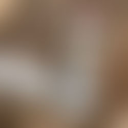 ポーターさんの銃