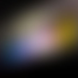 XD-9・・だぞぅ😁