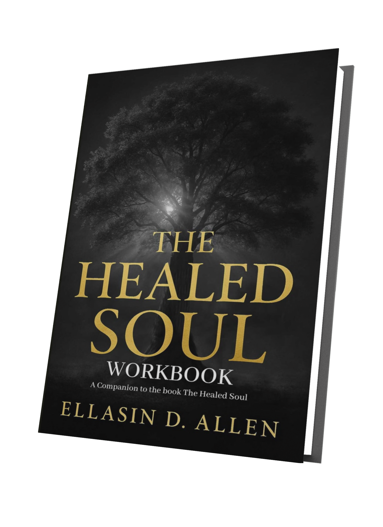 The Healed Soul Workbook
