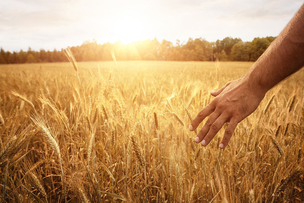 191017-world-food-prize-peace-through-agriculture-carbon-farming-regenerative-agriculture-