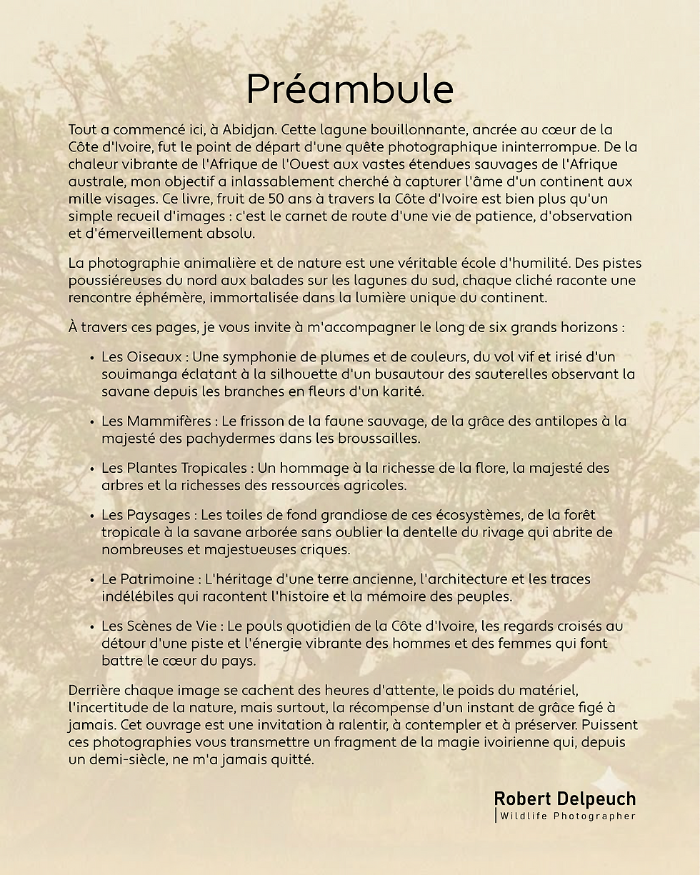 0-INTRODUCTION-6.png