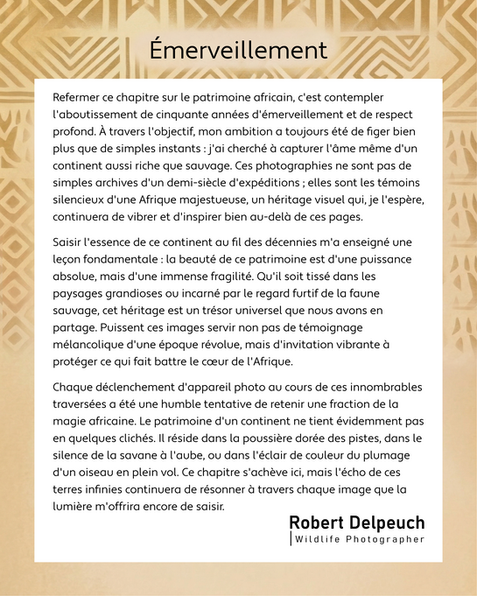 Conclusion chapitre 2