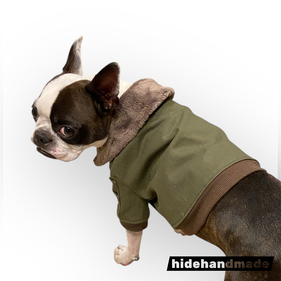 Thumbnail: B-15 flight jacket