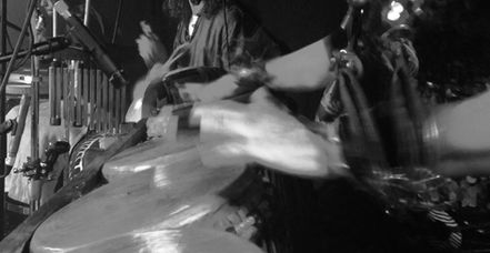 Alicia Kura crop curves.jpg