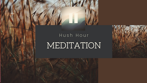 Hush Hour meditation cover - brown grass.png