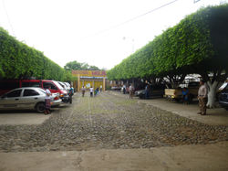 P1000839