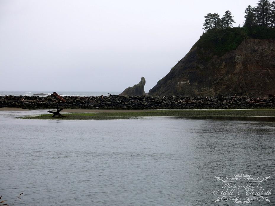 IMG_9034 1W.jpg
