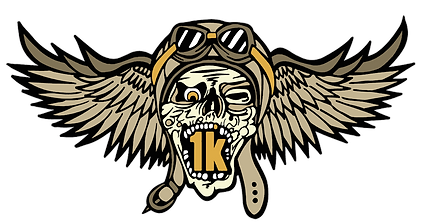 RIDE 1k IN A DAY