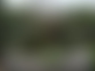 セラピストとしての学び