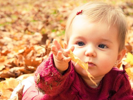 Un nuovo sito per Talentree