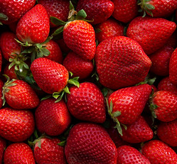 Erdbeeren 1.jpg