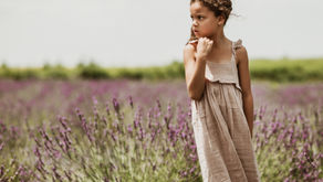 Full Sun by Murielle Cascone