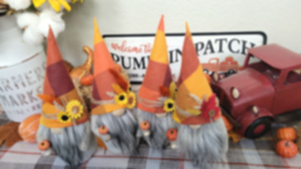 Assorted Fall Gnomes