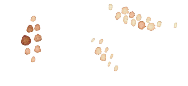 blatt 4.png