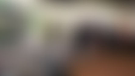 Highlights From The Black History Month Cultural Pop-Up Market and Workshop Weekend in Hatfield