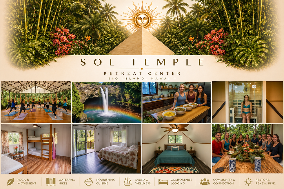 Sol Tmeple flyer.png