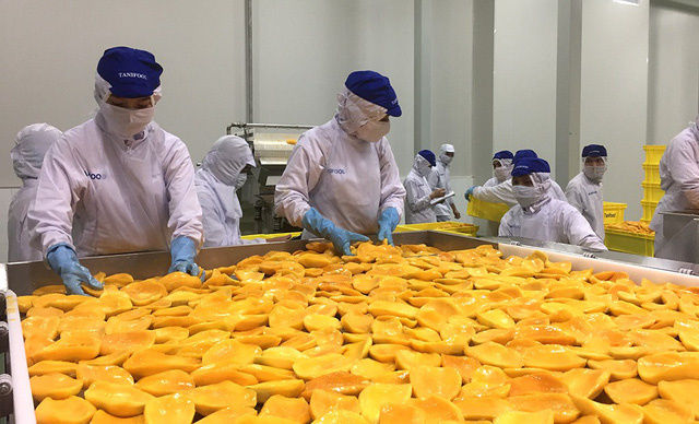 Fruit production in Vietnam. Photo source: VN Business