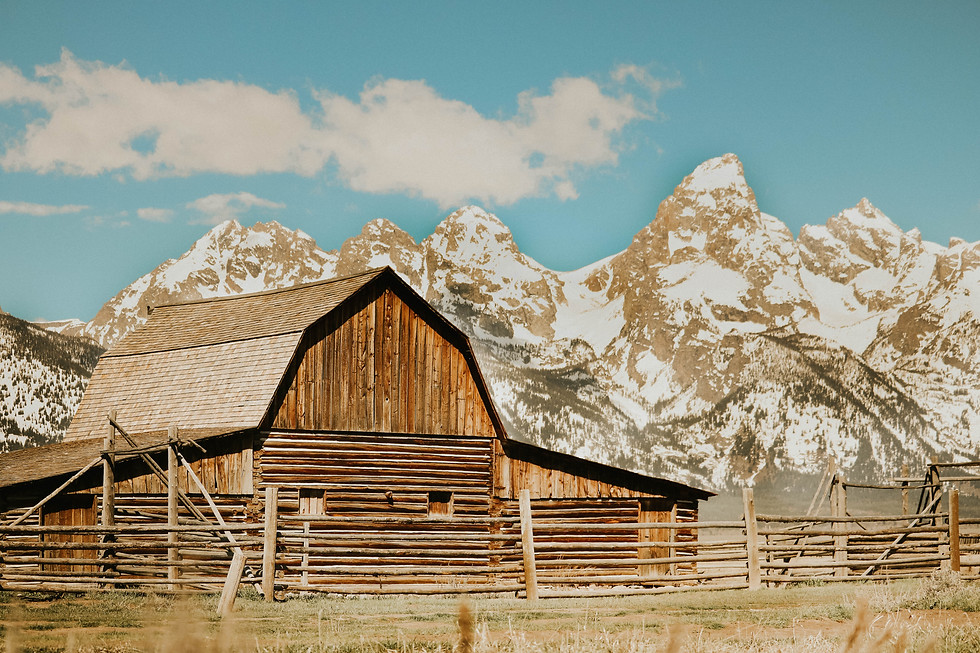 Thumbnail: Yellowstone Photography Sale