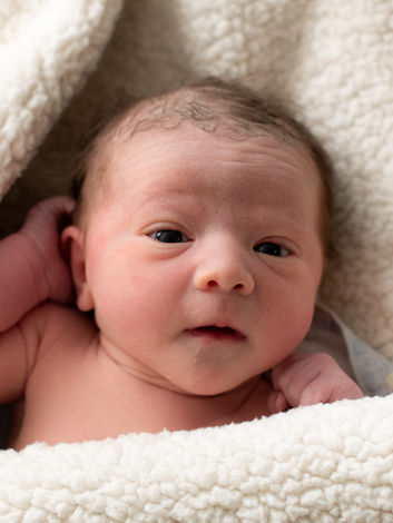 home birth photographer in arizona birth photography