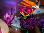 Eventfotografie Midday Film