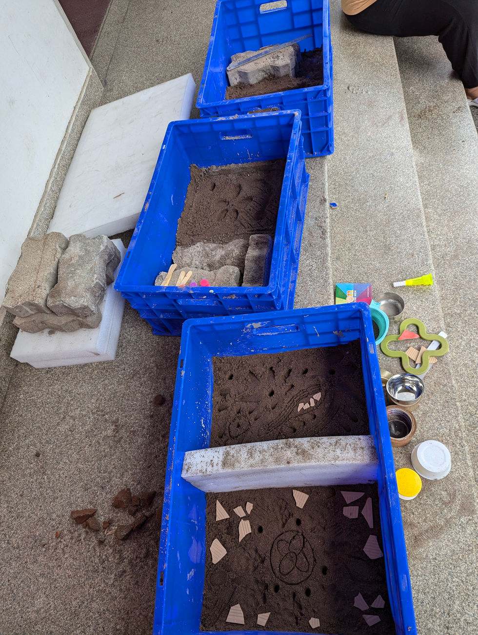 PXL_20240630_064631195