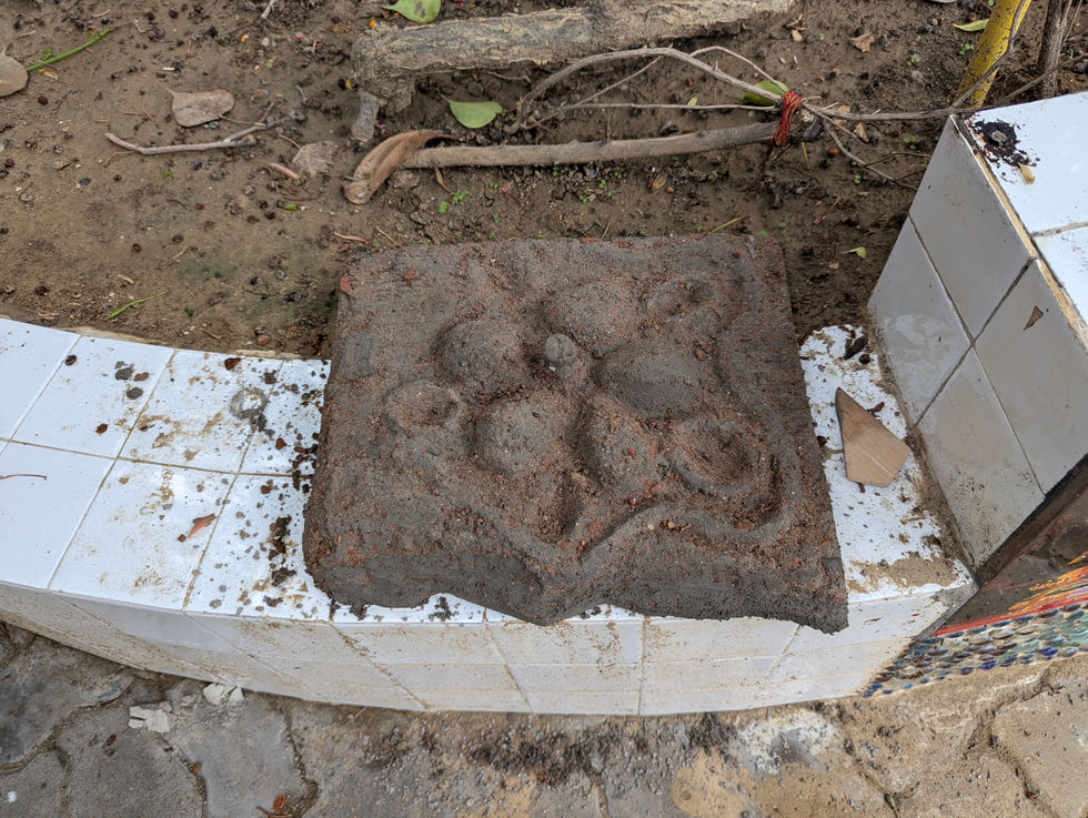 PXL_20240630_061148818