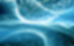 Embryonic Stem Cells