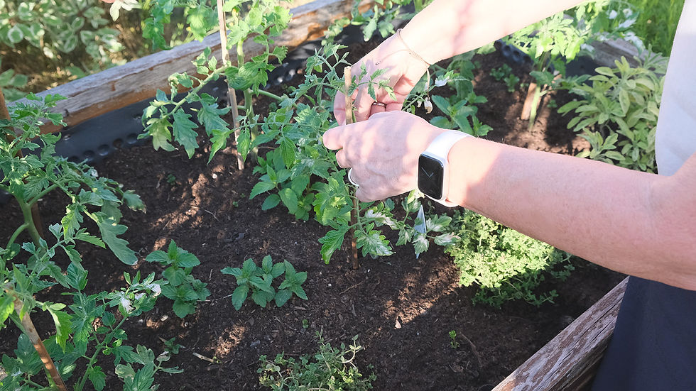 Ulla Hilsinger bei der Gartenbepflanzung, Gartenplanerin in der Pfalz
