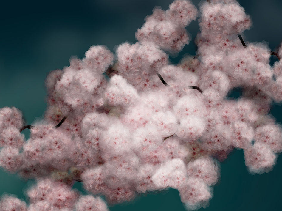 Portfolio, Margarete Schrüfer, Frühling in Simulacrum X