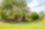 Finca Can Coca, Mallorca, Finca mieten Mallorca, Haus auf Mallorca mieten, Finca Mallorca mieten, Finca für 4 Personen, Ferienhaus Mallorca, Finca mit Pool, Finca für 8 Personen, Finca Manacor, Finca Porto Christo, Finca Sant Llorenc