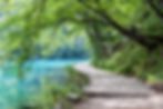 idylischer See mit Bäumen und einem Steg entlang des Wassers