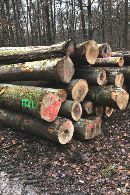 Holzlagerung von Holz Hoh