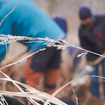 Waldorfschule Praktika Forstwirtschaft