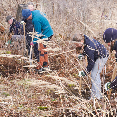 Waldorfschule Praktika Forstwirtschaft
