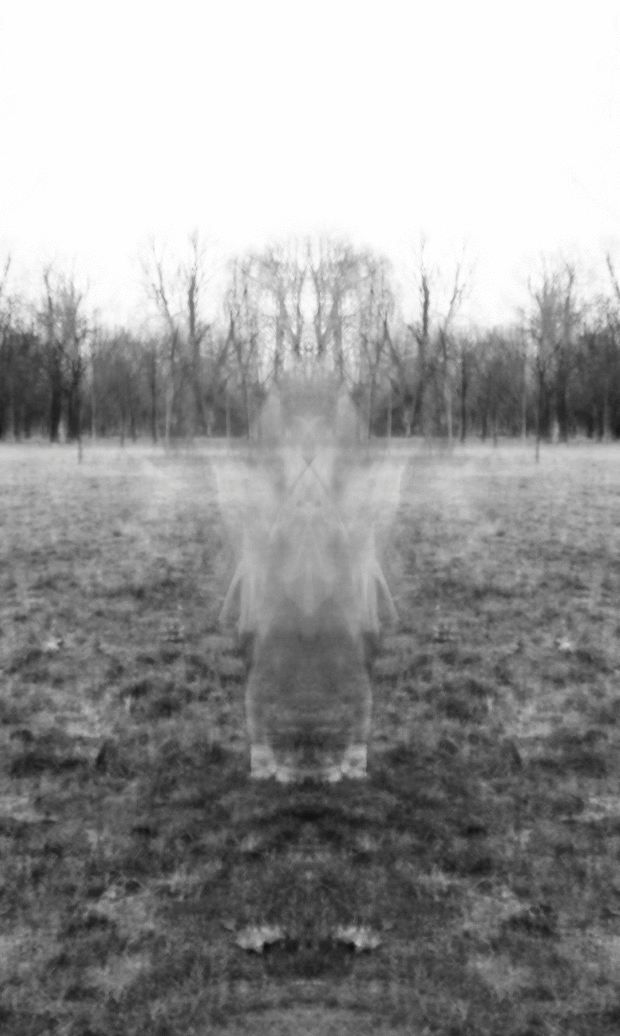 Webp.net-gifmaker (1).gif