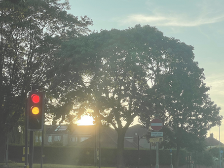 different opinions and views = our uniqueness