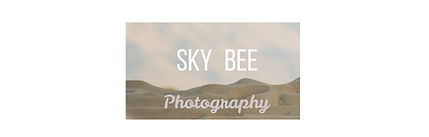 SkyBeePhotographyLOGO.jpg