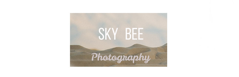 SkyBeePhotographyLOGO.jpg