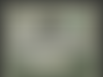 The Dollar, the Idols, and the Digital Beast