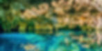 Event header (1).jpg