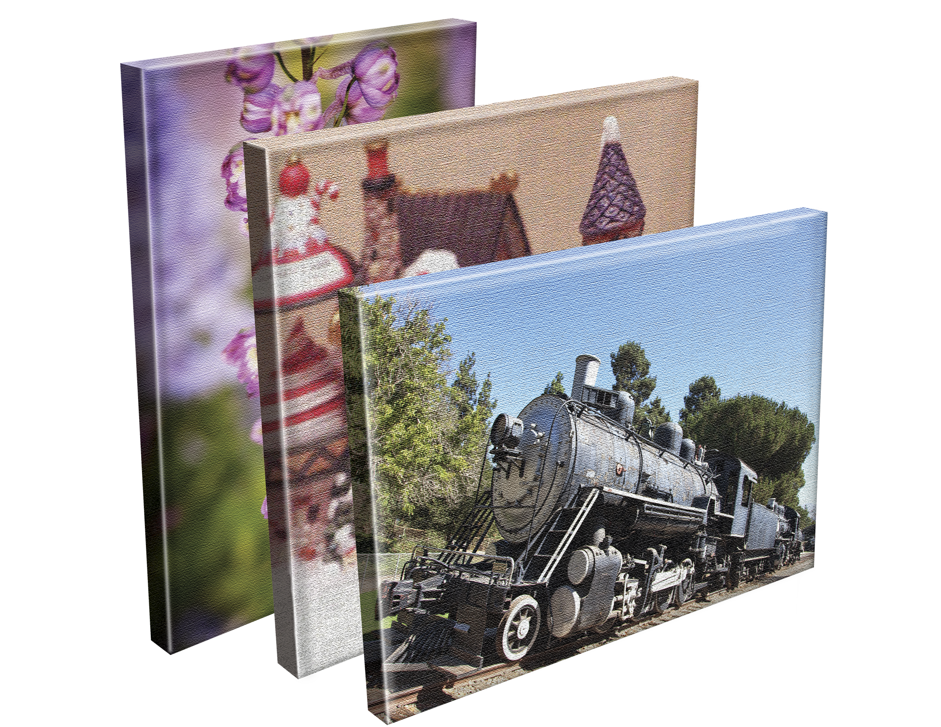 Mounted Canvas Prints