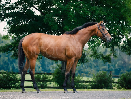 Loveumom “Evie” - $6000
