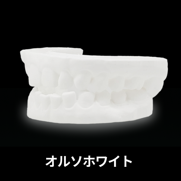 オルソホワイトの歯科模型